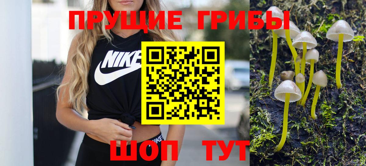 Галлюциногенные грибы мицелий  Вход с VPN  Краснокамск  Галлюциногенные грибы Cubensis 
